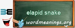 WordMeaning blackboard for elapid snake